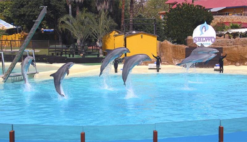 Paseo Maritimo Los Boliches. Fuengirola Eksteriør billede